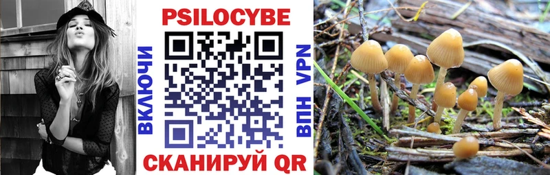 Псилоцибиновые грибы Psilocybine cubensis  Шимановск 